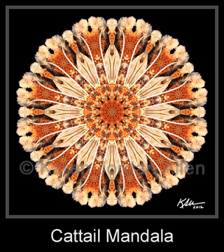 Cattail Mandala