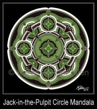 Jack-in-the-Pulpit Circle Mandala