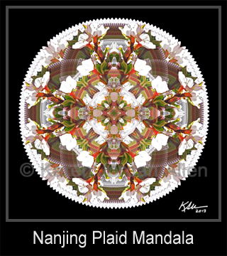 Nanjing Plaid Mandala