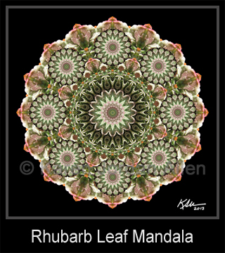 Rhubarb Leaf Mandala