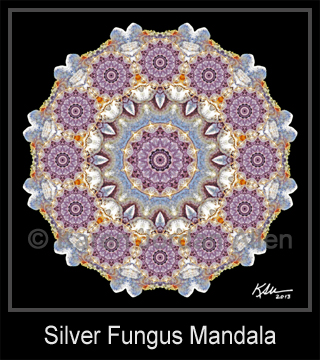 Silver Fungus Mandala