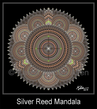 Silver Reed Mandala